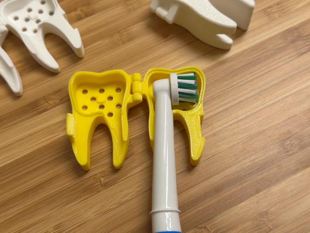 3D Printed Cute Tooth Shaped P - 3D Printing Tooth 评论和价格