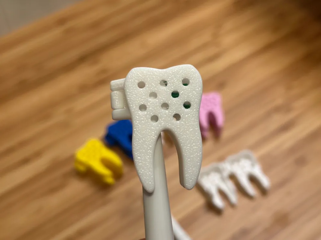 3D Printed Cute Tooth Shaped P - 3D Printing Tooth 评论和价格