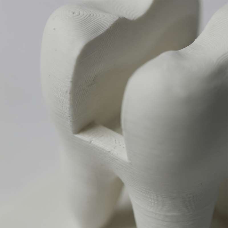 3D Printed Tooth Shaped Busine - 3D Printing Tooth 评论和价格